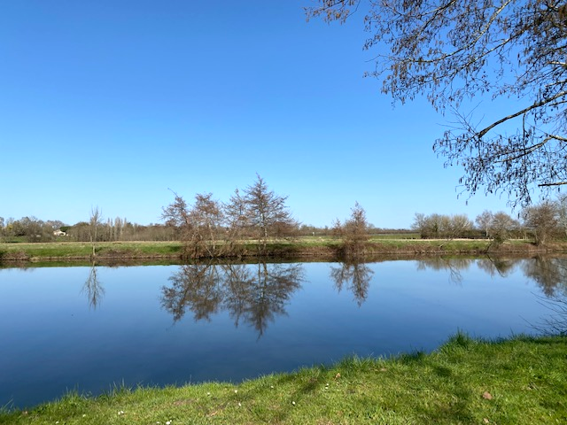 acheter-zone-inondable-saint-medard-de-guzieres